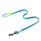 ZL Classic Padded Dog Leash  Neon Green - Zigly