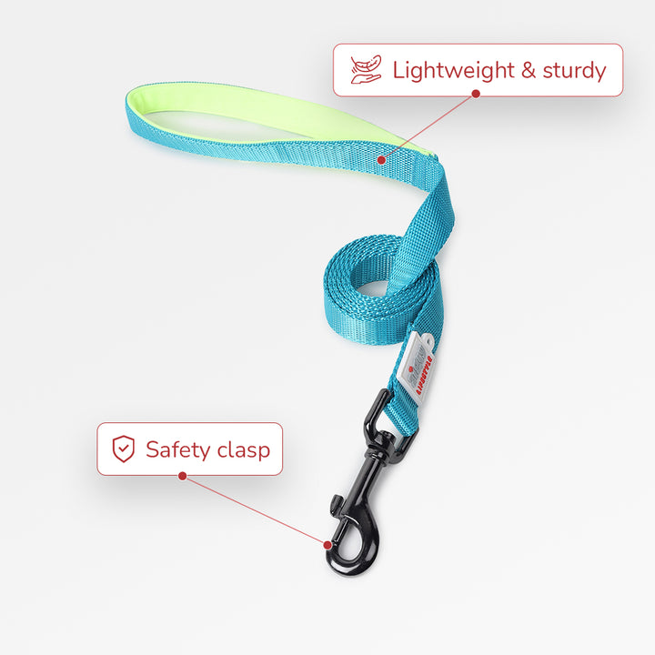 ZL Classic Padded Dog Leash – Neon Green