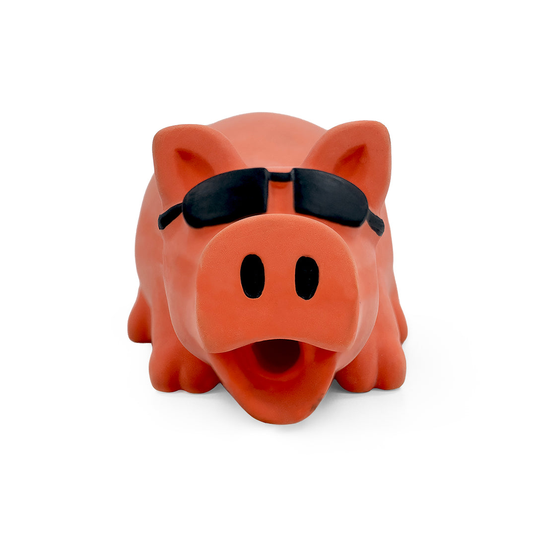 ZL DJ Oink Squeaker Dog Toy
