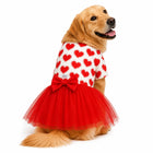 ZL Love Stitch Ruby Heart Dog Dress