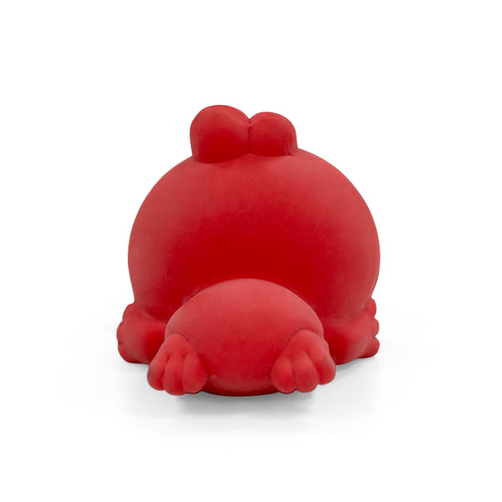 ZL Lil Froggo Squeaker Dog Toy