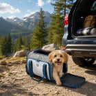 Zigly Lifestyle Pawfect Adventure Combo for Pets