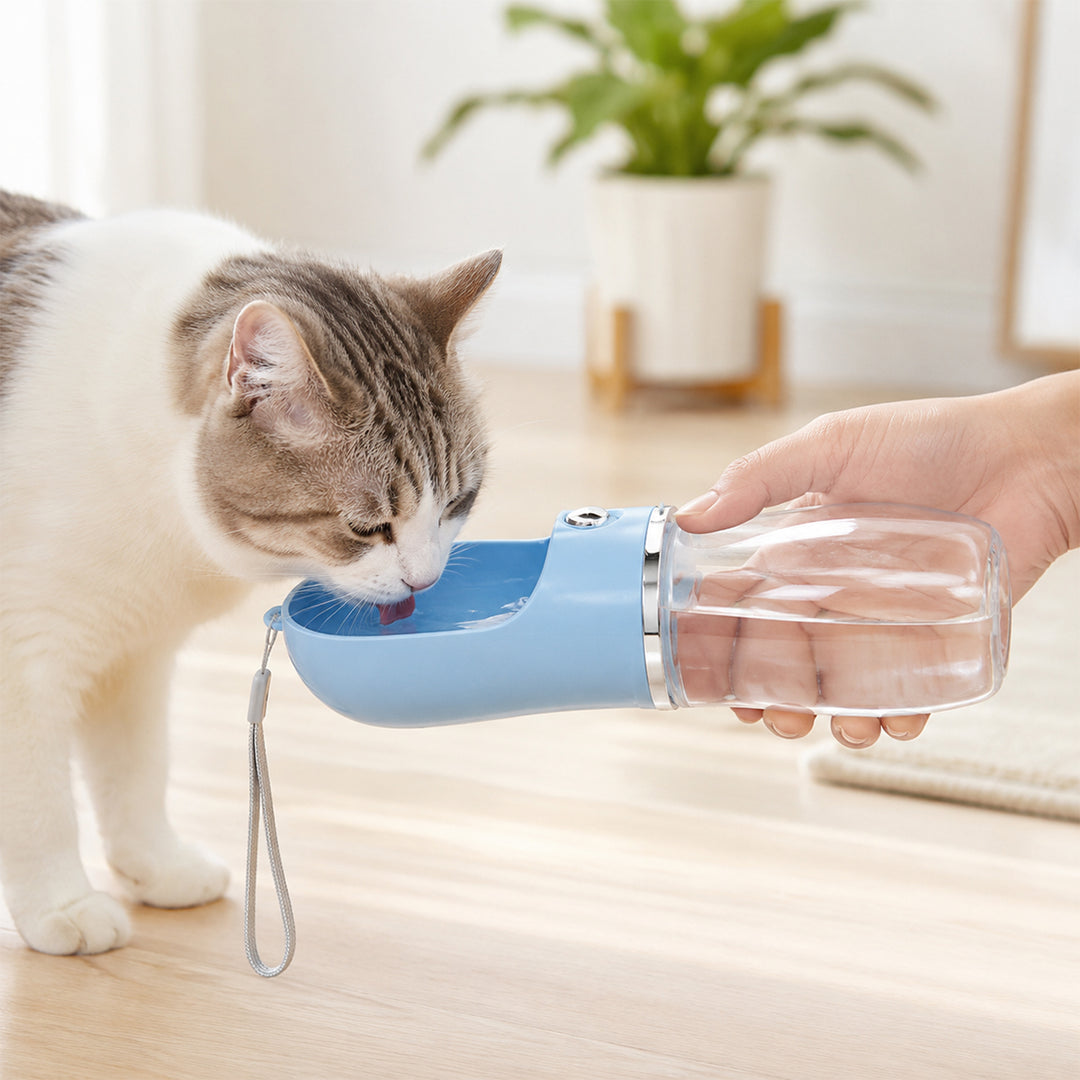 Zigly Lifestyle Pawfect Adventure Combo for Pets