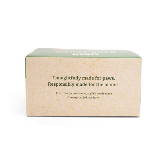 ZL Rice Husk Dog Bowl – Green