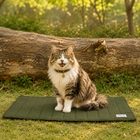 Zigly Lifestyle Sip & Snooze Combo for Pets