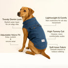Dog wearing Zigly trendy denim shirt with adjustable Velcro, lightweight, soft fabric, high-tummy cut