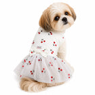 ZL Tropical Farm Cherry Dog Dress