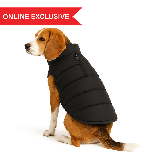 ZL Trail Buddy Dog Jacket - Black