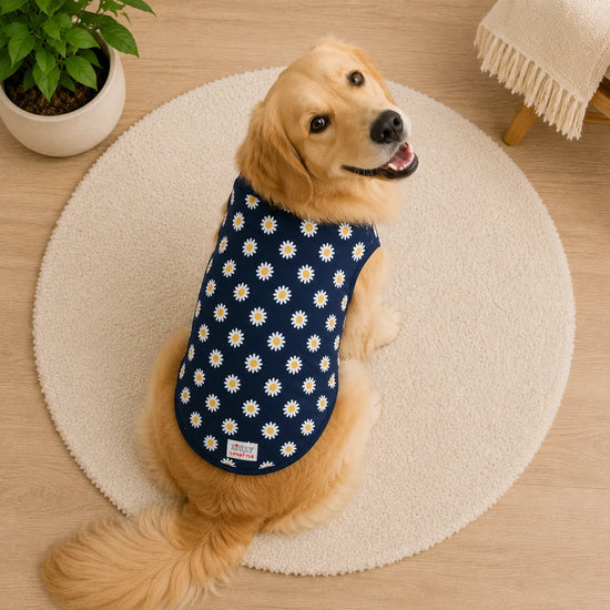 ZL Tropical Farm Daisy Flower Dog T-Shirt