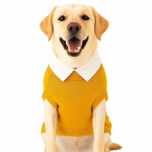 ZL Varsity Golden Ivy Dog Sweater-Yellow