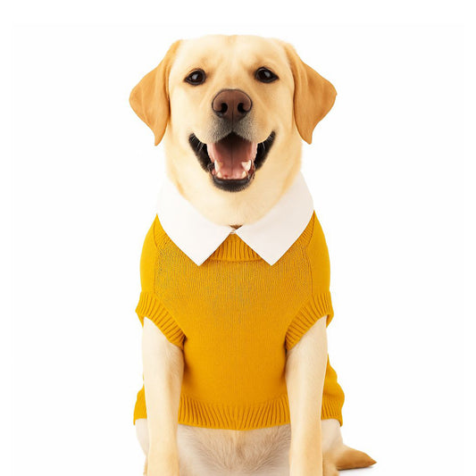 ZL Varsity Golden Ivy Dog Sweater-Yellow