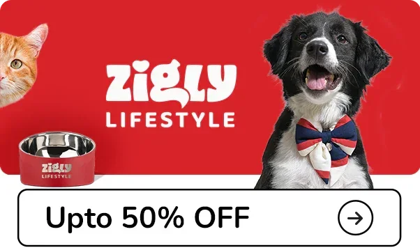 Zigly Lifestyle - Upto 50% Off