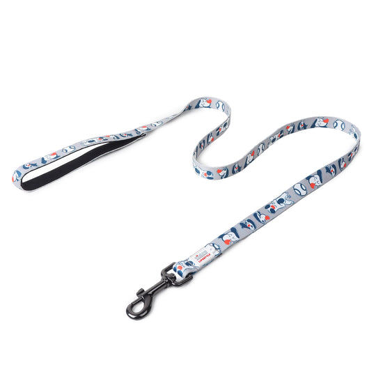 zl-doodle-dog-leash-grey