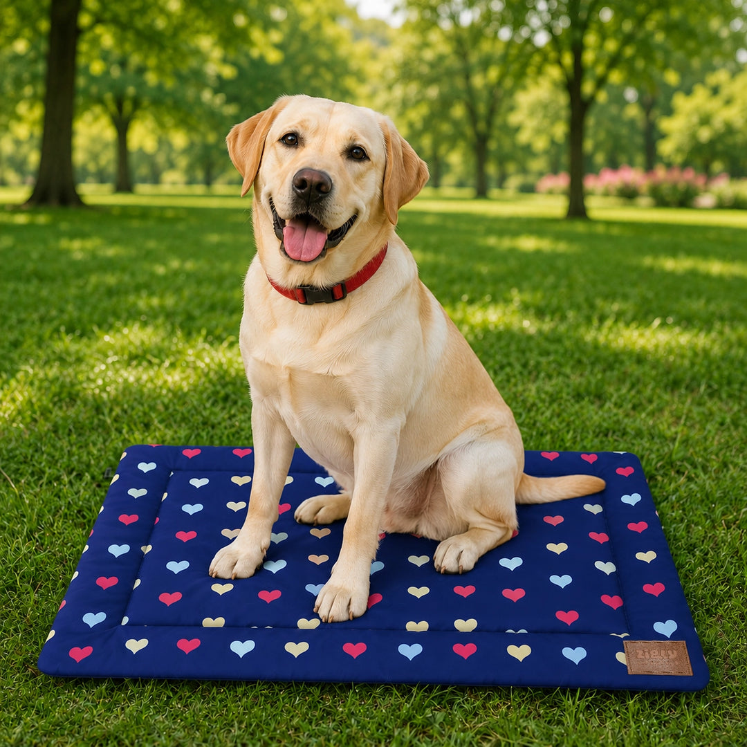 ZL Happy Hearts Pet Mat