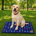 ZL Happy Hearts Pet Mat