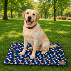 ZL Paw Play Pet Mat