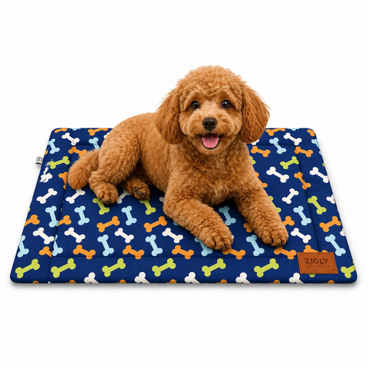 ZL Paw Play Pet Mat