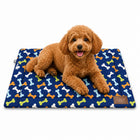 ZL Paw Play Pet Mat