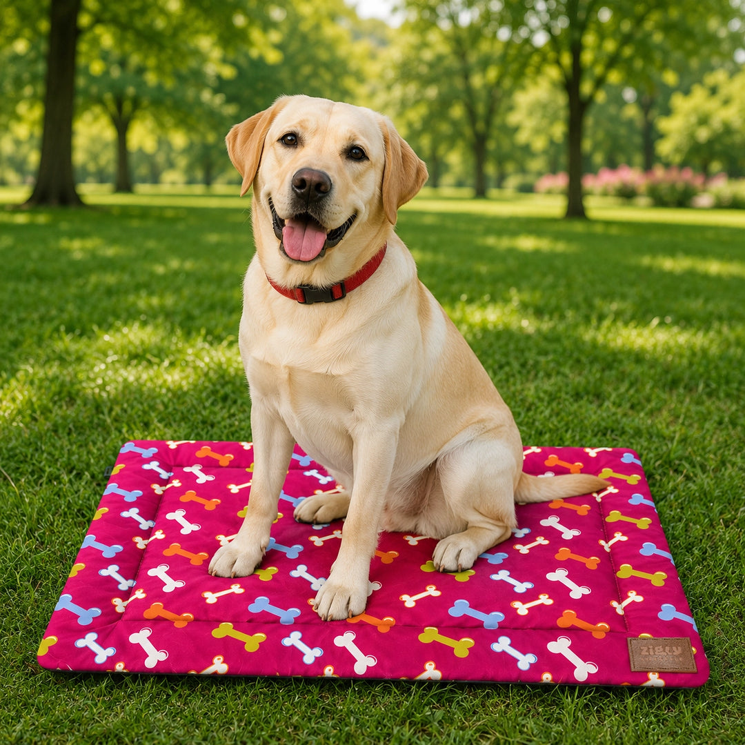 ZL Play Print Pet Mat