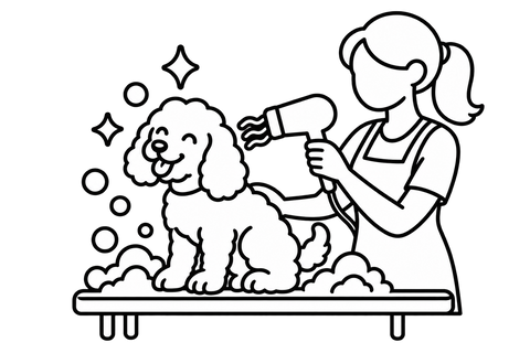 Bath & Blow Dry