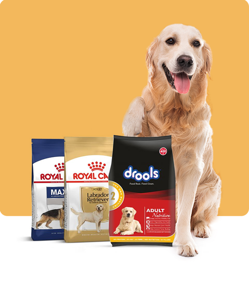 files/dog-Food.png