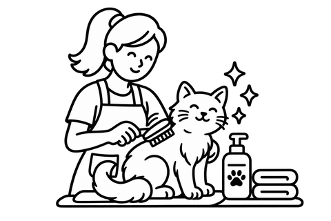 Everyday Shine Cat