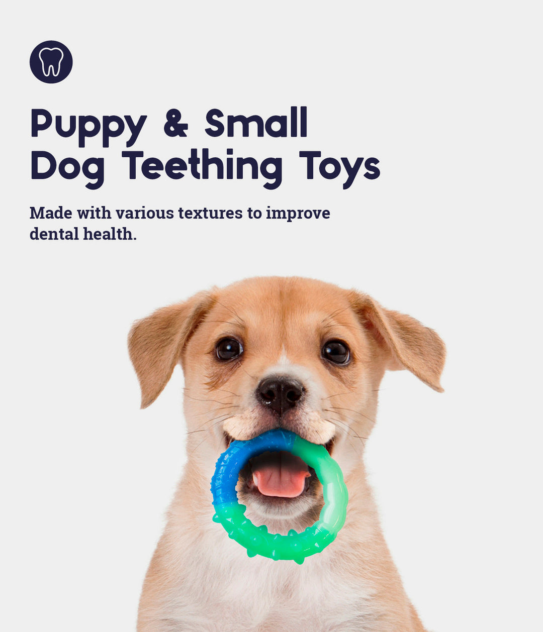 Outward Hound Puppy Orka, Pack Of 3 Dog Toy