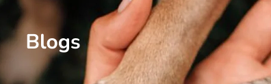 Mobile Banner Image