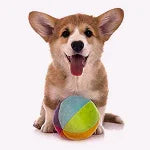 Pet Toys