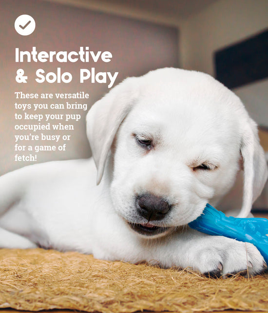 Outward Hound Puppy Orka, Pack Of 3 Dog Toy