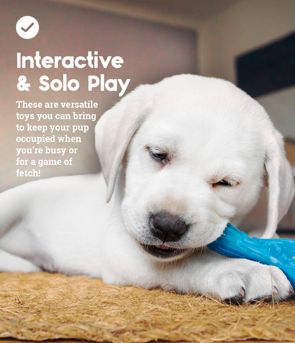 Outward Hound Puppy Orka, Pack Of 3 Dog Toy