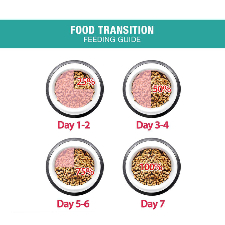 Me-O Persian Kitten Dry Cat Food - 1.1kg