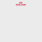 Royal Canin Shih Tzu Puppy Dry Dog Food