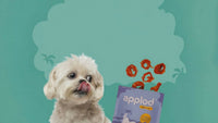 Applod Tender Chicken Mix Fruit Rings Dog Treat - 50g