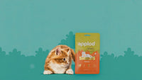 Applod Chicken Shreds Soft Cat Treat - 35g