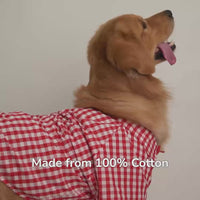 ZL Gingham Glam Dog Shirt