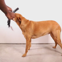 FARM Rio x Zee Dog Samba Softer-Walk Harness