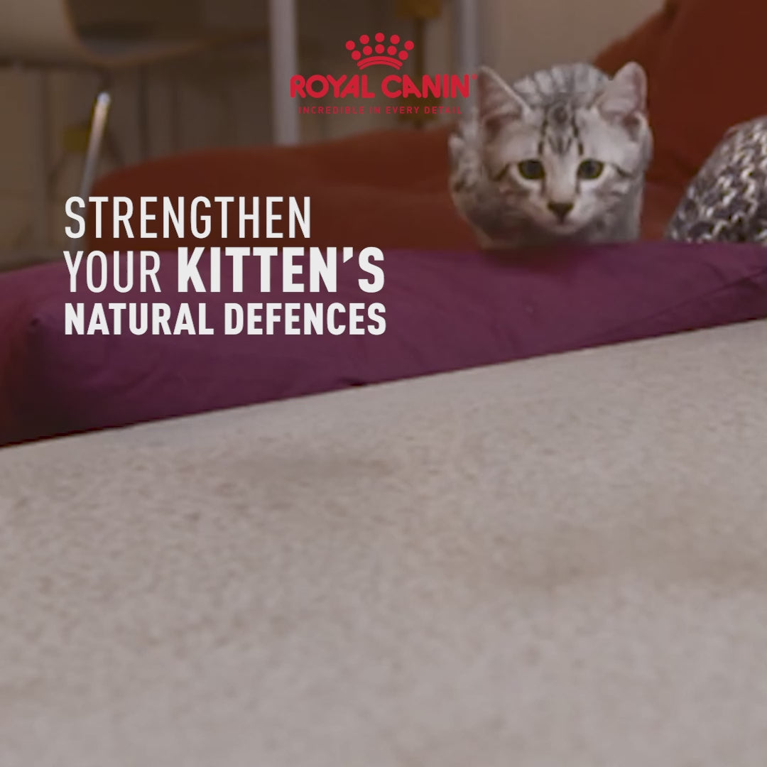 Royal Canin Kitten Gravy-Salsa Instinctive Pack Wet Cat Food - All