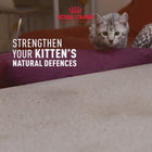 Royal Canin Kitten Gravy-Salsa Instinctive Pack Wet Cat Food - All Breed