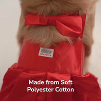 ZL Sassy Scarlet Frock Dog Dress
