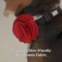 ZL Ruby Rose Dog Bow Tie