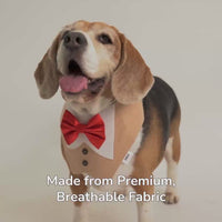 ZL Pup In A Tux Dog Bandana