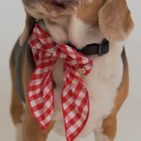 ZL Gingham Glam Ribbon Dog Bow Tie