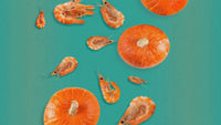 Applod Shrimp with Pumpkin Cat Treat - 35g