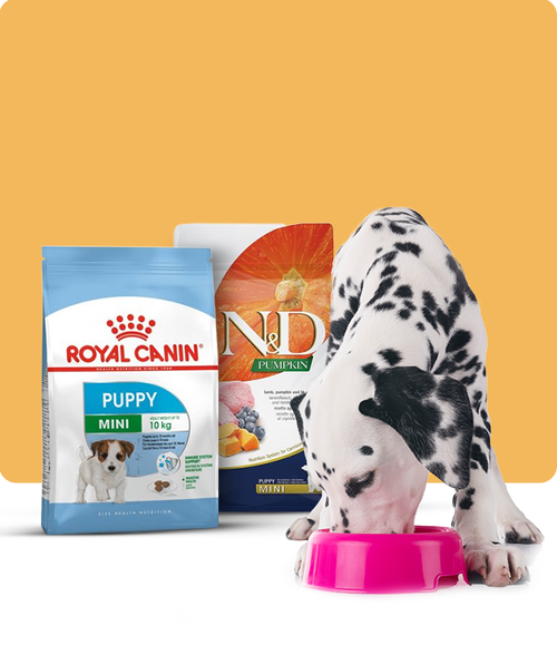 files/puppy-food_650X765_1.png