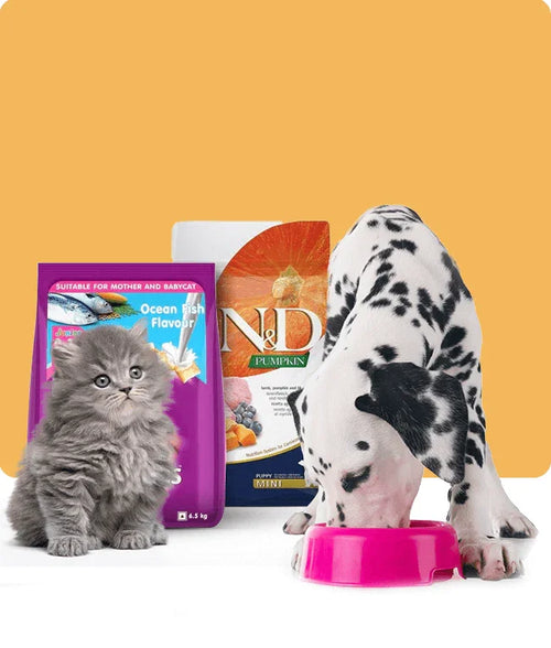 files/puppy-food_650X765_a802d0d3-31fe-4d2e-bf1a-b2beb4b2b6fa.png