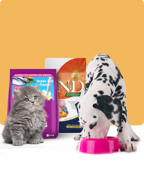 files/puppy-food_650X765_a802d0d3-31fe-4d2e-bf1a-b2beb4b2b6fa.png