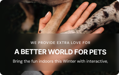 Hand gently holding dog’s paw with Zigly text overlay promoting pet care and indoor fun this winter