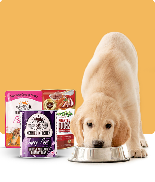 files/wet-Food_2f63de87-04f5-4fb5-b921-8e3771dbfaf2.png