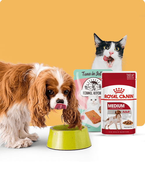 files/wet-food_650X765_3896519d-4671-42c3-93ad-c45e49ab1fdf.png